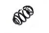 Пружина підвіски задня Trafic II/III 2001-/2014- RENAULT 550202870R (фото 2)