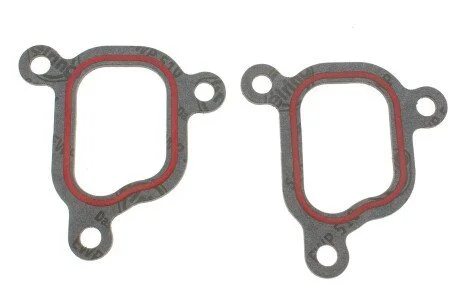 Прокладка системи охолодження BMW 5 (E34)/7 (E38)/8 (E31)/Land Rover 3.0-4.6 92-05 ELRING 266.510