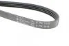 Ремінь генератора Mazda 323 F 1.6i 87-94 HUTCHINSON 1015K4 (фото 4)