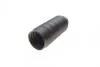 Пыльник амортизатора (переднего) BMW X5 00-06 (M54/M57/N62) FEBI BILSTEIN 32125 (фото 2)