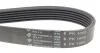 Ремінь генератора (поліклиновий) 1005 K 6 HUTCHINSON 1005K6 (фото 4)