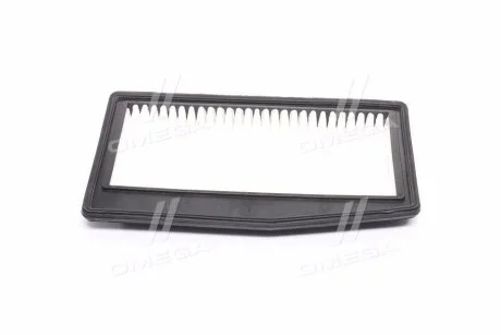 Фільтр повітряний Ravon R2 (вир-во, Korea) PARTS-MALL PAC-053