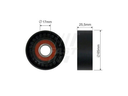 Ролик ремня генератора обводной +ас 1.6mjtd, 2.0mjtd doblo 2009- FAST FT44574