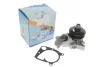 Помпа воды BMW 3/5/7/X5 320d/330d/330xd/330Cd/520d/730d/730Ld/3.0d 01-08 (R/B) (6 лоп.) (6 кан.) GRAF PA1046 (фото 7)