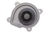 Насос воды Audi A3/Seat Ibiza/Skoda Fabia/Octavia/VW Golf/Passat 1.4/1.6/1.6FSI 03- (B/B) (7 лоп) GRAF PA954 (фото 4)