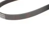 Ремень генератора BLUE PRINT AD04R800 (фото 3)