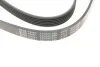 Ремінь генератора VW Golf/VW Bora 2.3 -00/ Hyundai i30/ i40 2.0 CRDi/GDI 07- BLUE PRINT AD06R1285 (фото 3)