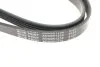Ремінь генератора поліклиновий BLUE PRINT AD05R1230 (фото 4)
