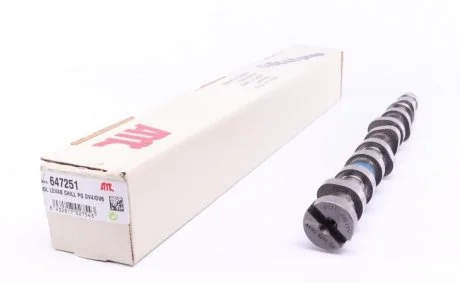 Розподільний вал Citroen Berlingo/Peugeot Partner 1.6HDi 08- (чавунний) AMC 647251