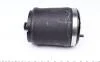 Подушка пневмоподвески (сзади) BMW X5 00-06 (R) TRUCKTEC 08.30.047 (фото 2)