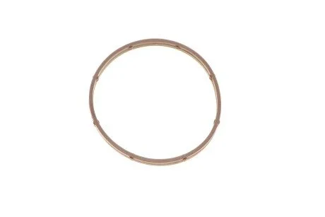 Прокладка дросельної заслонки MB C-class (W203)/CLK(A209)/E(A207) 3.0D 05- TRUCKTEC 02.14.174