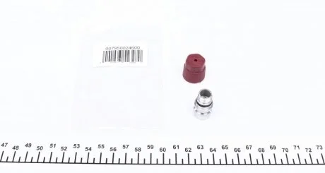 Сервісний порт (з\'єднання) MAGNETI MARELLI 007950024600