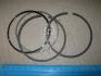 Комплект поршневих кілець OPEL 80,500 KOLBENSCHMIDT 800020910050 (фото 2)