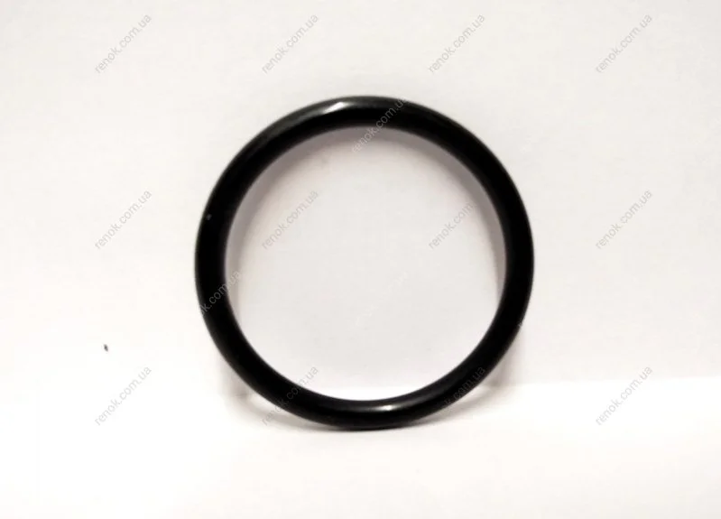 Уплотнительное кольцо SUBARU 806933010 (фото 1)
