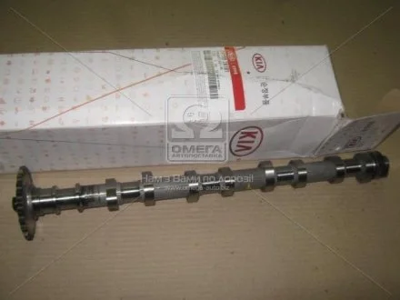 Вал розподільний правий (24100-2A101) MOBIS 241002A101