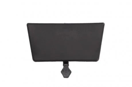 Елемент бампера (пробка бампера) передн Лів/Прав RVI T 01.13- RVI-FB-010 PACOL RVIFB010