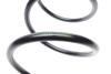 Пружина (передняя) BMW 3 (E90-E93) 325-330d/335i 06-13 (седан/универсал/купе) (без М-техники) LESJOFORS 4008467 (фото 2)