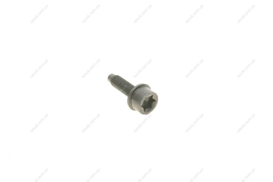 Болт масляного насоса 3 (F30/F31/F34/F35)/5 (F10/F11/F18)/X3 (F25) 11- N20/N26 BMW 11277619309 (фото 1)
