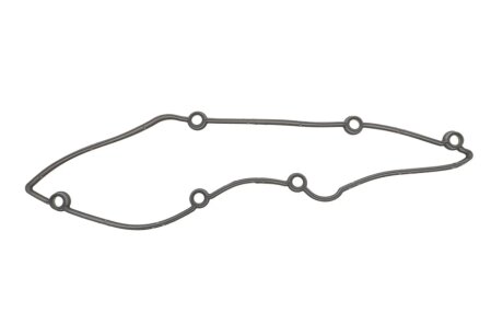 Прокладка, кришка головки циліндра ELRING 453.820