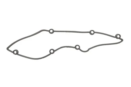 Прокладка, кришка головки циліндра ELRING 453.820