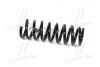 Пружина підвіски задня Carens (06-) MOBIS 55350-1D300 (фото 3)