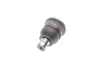 Опора кульова (передня/знизу) Renault Clio/Logan/Megane/Scenic 02- (SSP1952) MAGNETI MARELLI 301191619520 (фото 5)