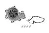Насос охолоджуючої рідини FORD RANGER MAZDA B-SERIE, BT-50, MPV I 2.5D 05.96-12.15 MAGNETI MARELLI 352316170739 (фото 1)