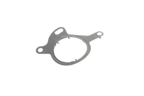 Прокладка вакуумного насоса Ford Transit Connect 1.6 EcoBoost 13- ELRING 767120