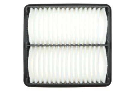 Фильтр воздушный MAZDA CX-3 2.0 15- (WIX-FILTERS) WIX FILTERS WA9821