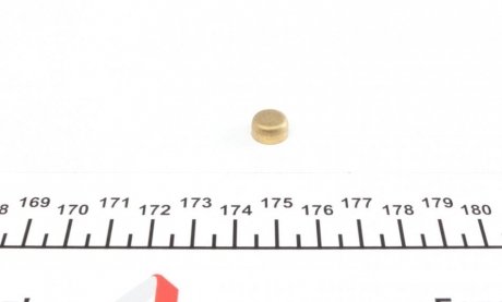 Заглушка блока цилиндров (d=10mm) Латунь/Brass IMPERGOM 40940