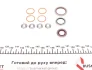 Комплект прокладок (верхній) Citroen Berlingo/Peugeot Partner 1.9D DW8 98- (без ГБЦ) ELRING 896.710 (фото 15)
