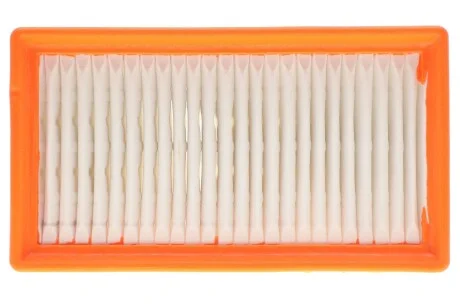 Фільтр повітря Arkana 1.3 RENAULT 165466859R