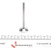Клапан (впуск) Audi 100/80/A6/Seat Cordoba/Ibiza/Toledo/VW Passat (32x7x95.5) (азотированный) AMP PAUD031-S-0-N (фото 5)