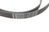 Комплект ремня генератора + насос Audi A1/A3/Seat Ibiza/Skoda Octavia 1.4/1.6 02- HEPU PK05810 (фото 2)