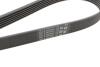 Комплект ремня генератора + насос Audi A1/A3/Seat Ibiza/Skoda Octavia 1.4/1.6 02- HEPU PK05810 (фото 3)
