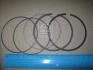 Кільця поршневі KOLBENSCHMIDT 800052110000 (фото 2)