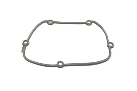 Прокладка кришки двигуна FEBI BILSTEIN 170573