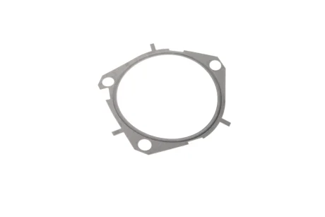 Прокладка помпи води Fiat Doblo 1.9 JTD/Opel Combo 1.6/2.0 CDTI 01- ELRING 453.970