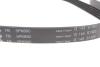 Комплект ременя генератора Ford Focus 2.5 ST 05-12, (5PK890 + 5PK848) INA 529 0477 10 (фото 2)