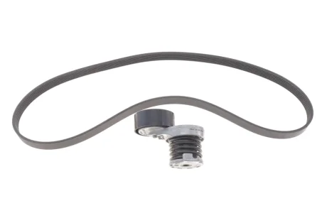 Поликлиновой ременный комплект INA 529 0339 10