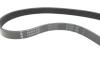 Комплект ременя генератора Citroen Berlingo/Jumpy/Peugeot Expert/Partner 1.6 HDi 08- INA 529 0335 10 (фото 2)