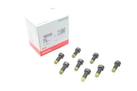 Болты маховика (к-кт 8 шт) BMW 3 (E46)/5 (E60)/X5 (E53) 00-10 M54 LuK 411 0254 10