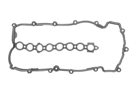 Прокладка клапанної кришки Land Rover Freelander 2.0 TD 00-06 ELRING 490.464