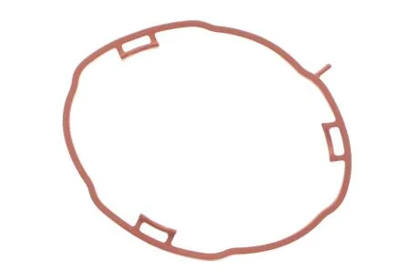 Прокладка, впускной коллектор ELRING 456.960