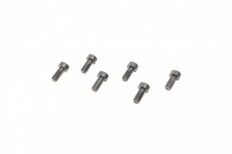 Болты маховика (к-кт 6 шт) BMW 3 (E90/F30/F80)/5 (E60/F10)/6 (E63) 04-16 LuK 411 0256 10