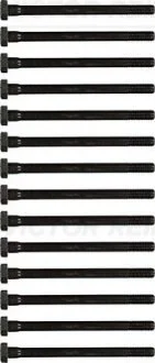 Комплект болтов головки цилидра VICTOR REINZ 14-32000-02