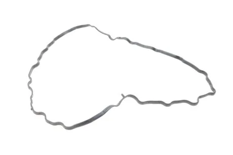 Прокладка піддона Citroen Jumper/Jumpy/Peugeot Boxer/Expert 2.0 HDi 15- ELRING 792.230