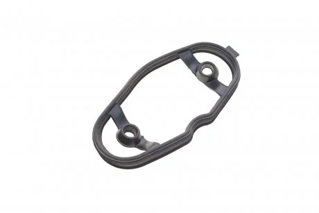 Прокладка насоса паливного 3 (F30/F31/F34/F35)/5 (F10/F11)/X5 (F15/F85) 09- N20/N63/N26 BMW 11127588416