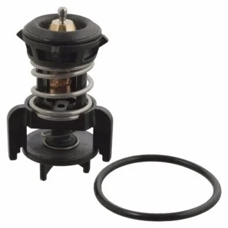 Термостат SW SWAG 30 10 6524