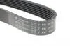 Ремень генератора Toyota Avensis/RAV4 2.0D 08-18 HUTCHINSON 1872 K 7 (фото 4)